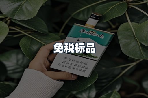 免税标品
